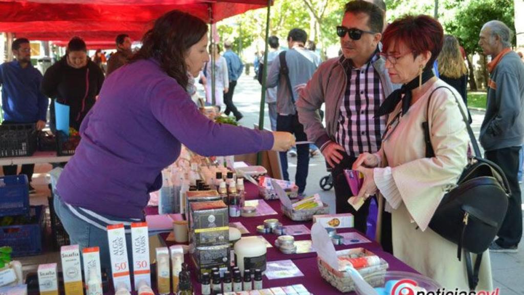 zamora mercado ecologico (6)