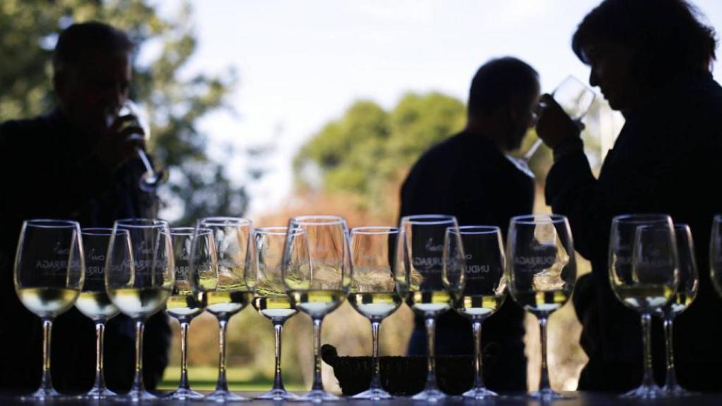 Una cata de vino blanco, en una imagen de archivo.