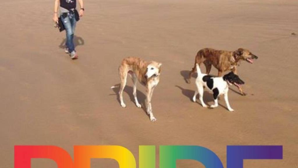 Paseando con sus perros por la playa.