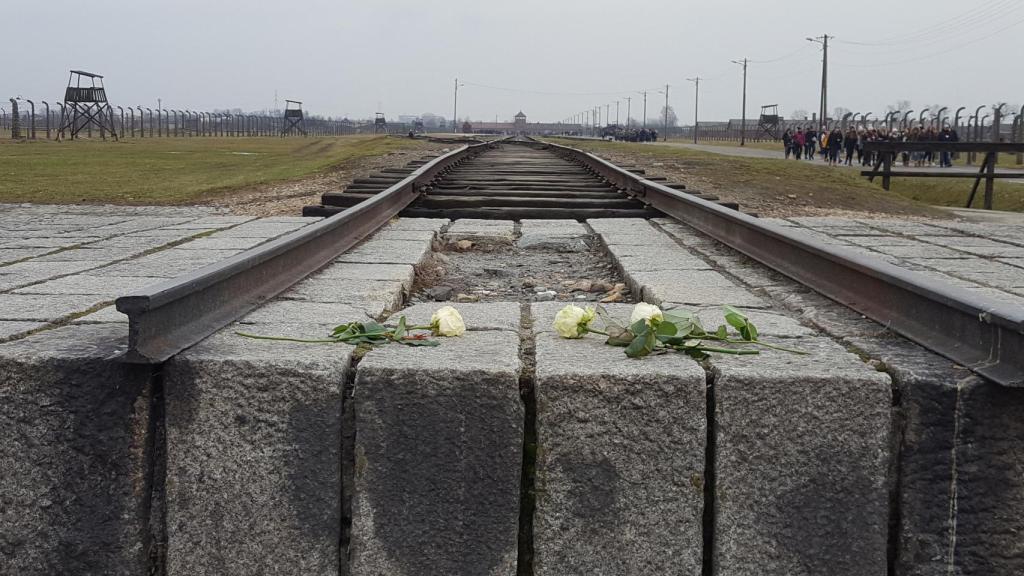 Auschwitz.