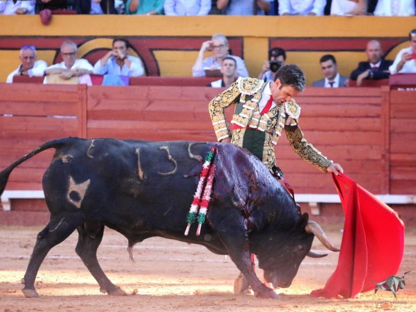 Buen natural de José Tomás al primer cuvillo.