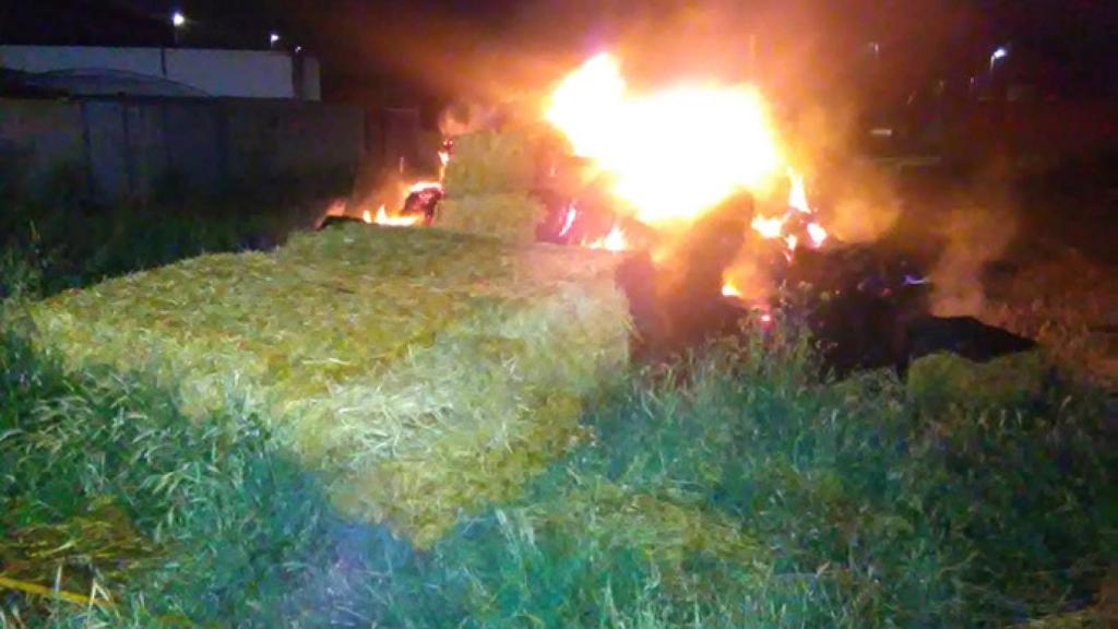 FOTO: CEIS Guadalajara