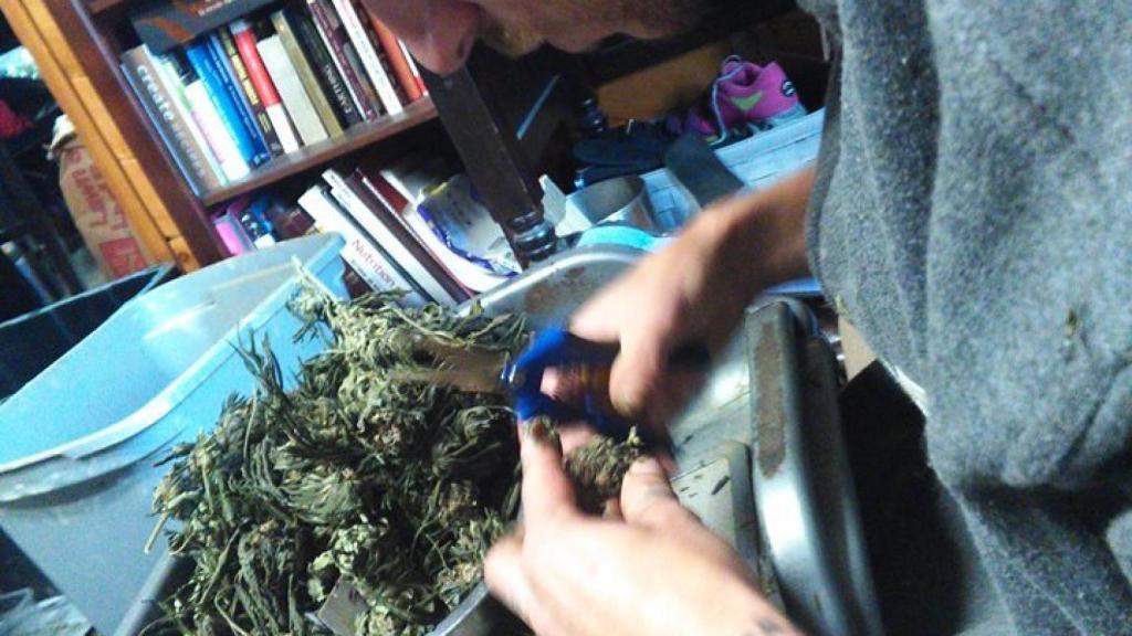 Sergio, en plena faena.