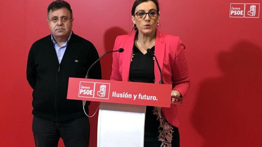 zamora ana sanchez psoe