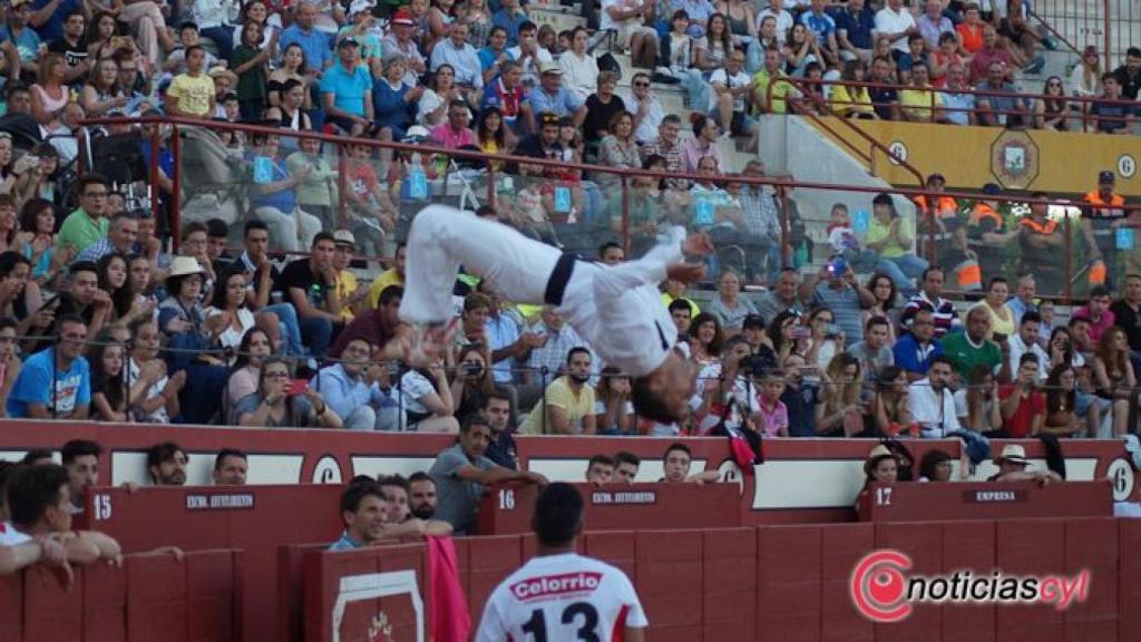 corte puro 2017 arevalo (23)