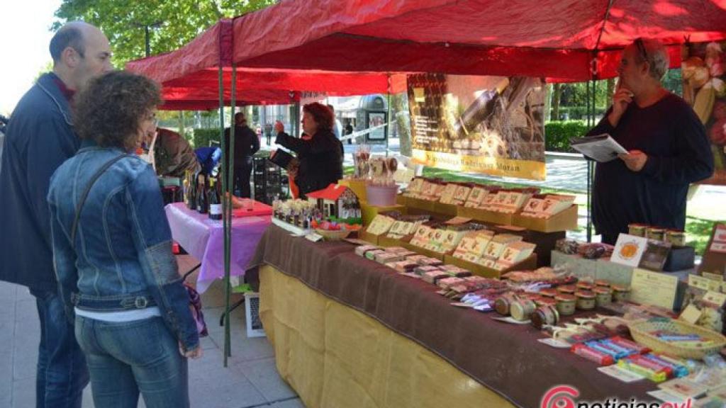 zamora mercado ecologico (9)