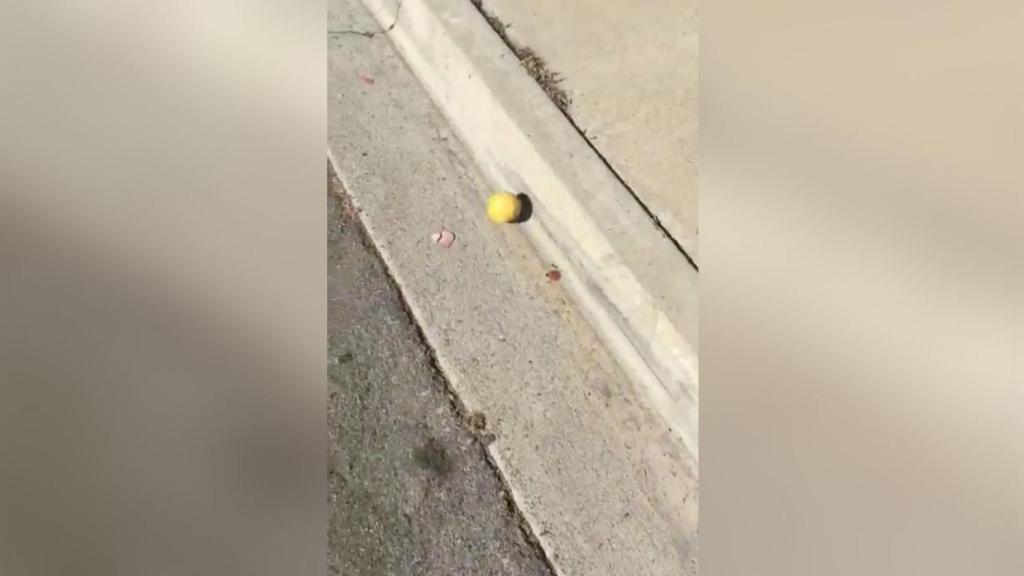 La extraña historia del limón rodante que ha hipnotizado Internet