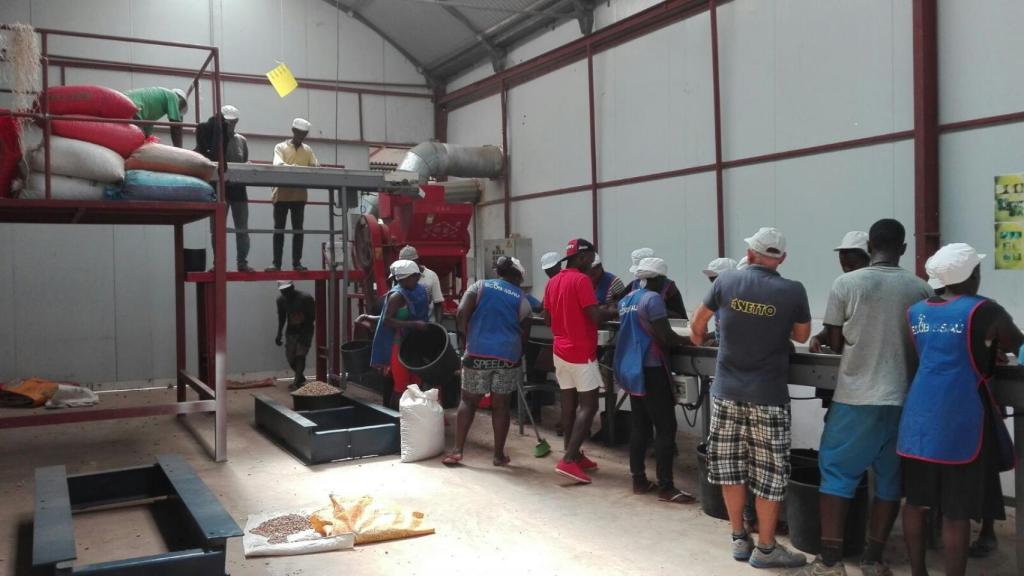 Procesado de cacahuetes de la cosecha de 2017, en la finca de Cristóbal Sánchez en Guinea Bissau .