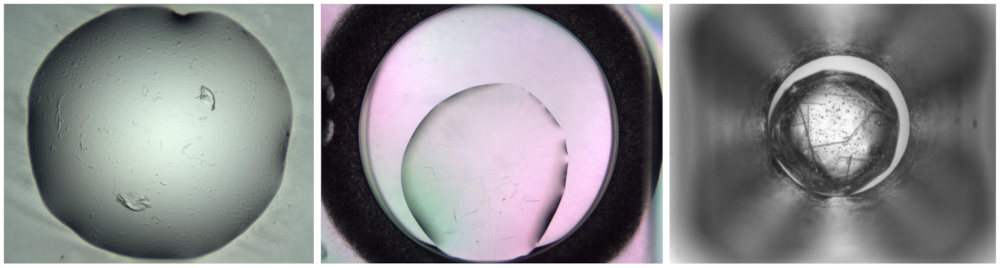 google inteligencia artificial proteina medicamento 2