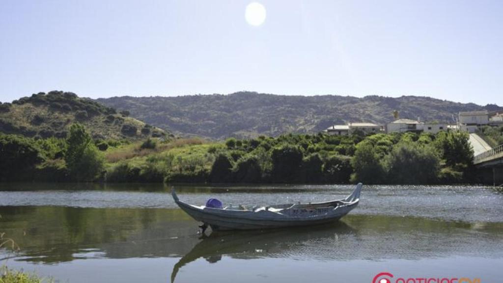 Migas e Peixes 2016 Moncorvo (2)