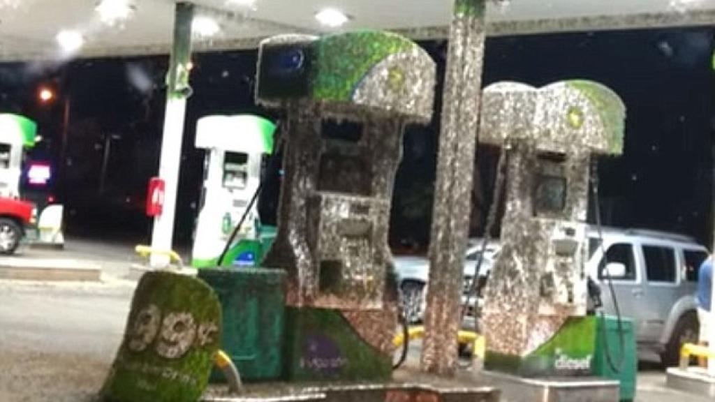 Los insectos cubrían todas las instalaciones de la gasolinera.