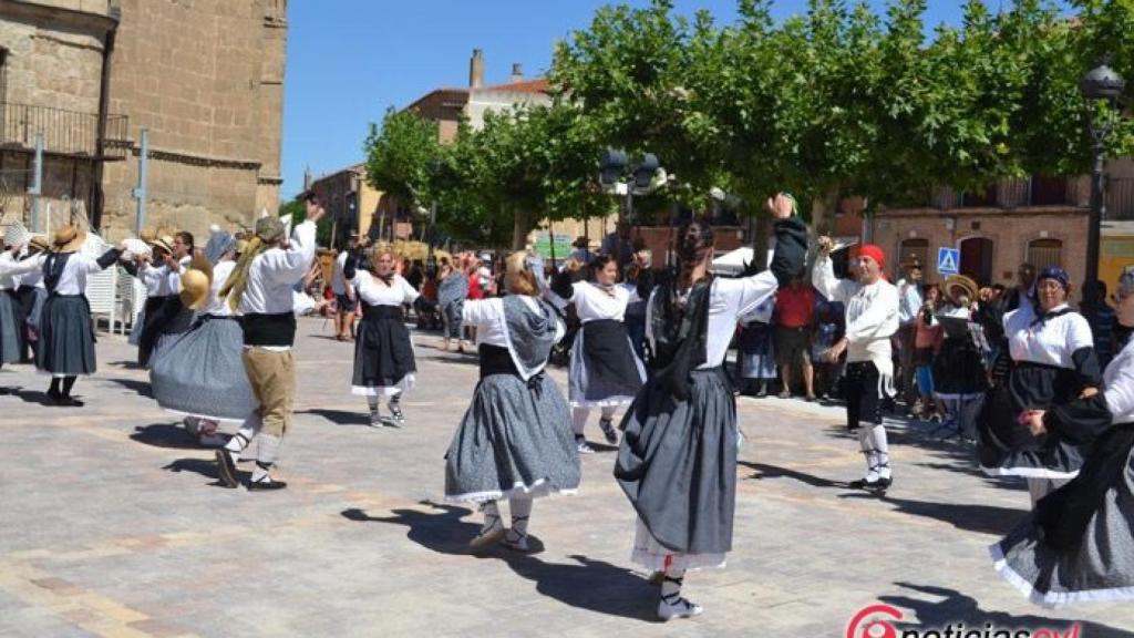 nava del rey valladolid fiesta siega 20