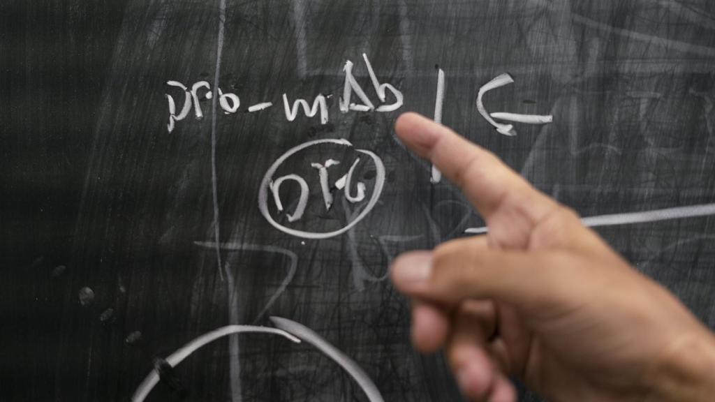 La estructura del anticuerpo, anotada en la pizarra.