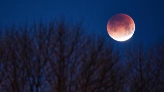 Las mejores imágenes del eclipse en Castilla-La Mancha: la 'Luna de Sangre' en todo su esplendor
