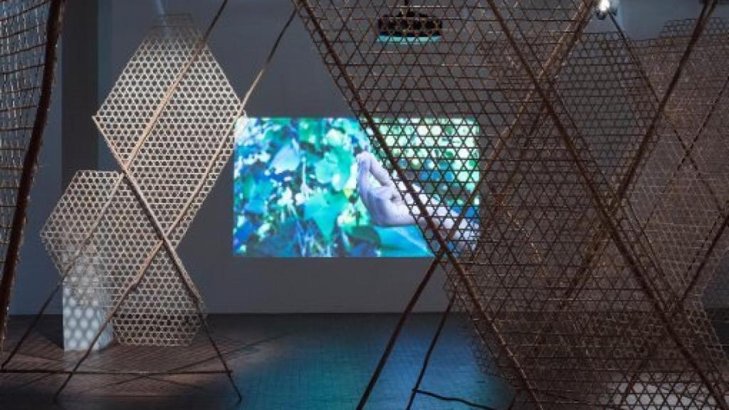 Image: Déjennos en paz