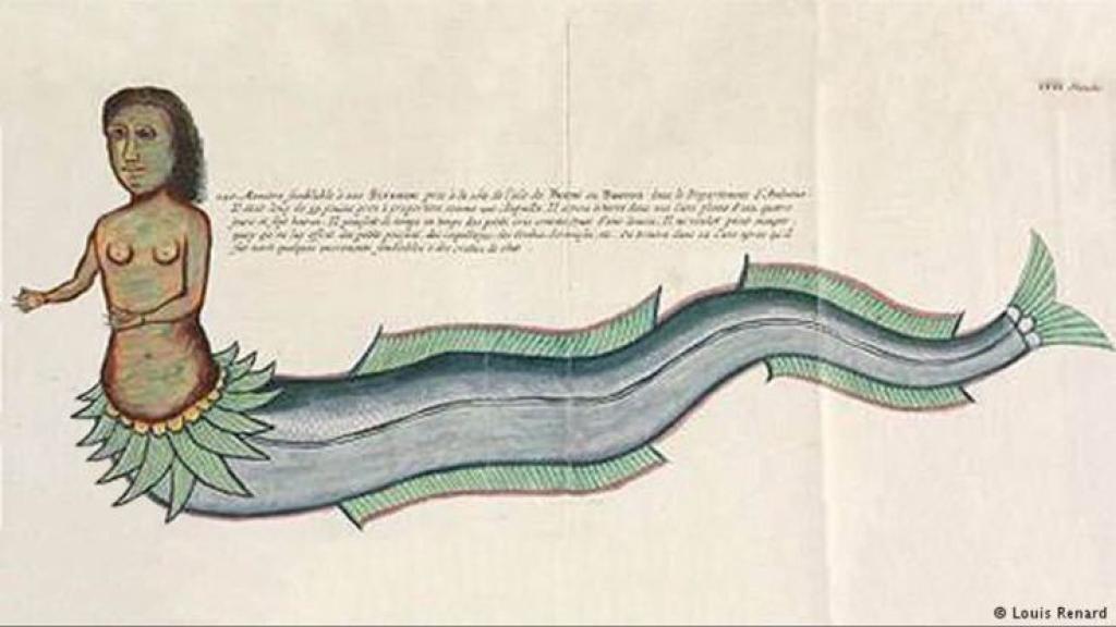 Sirena “Vintage”