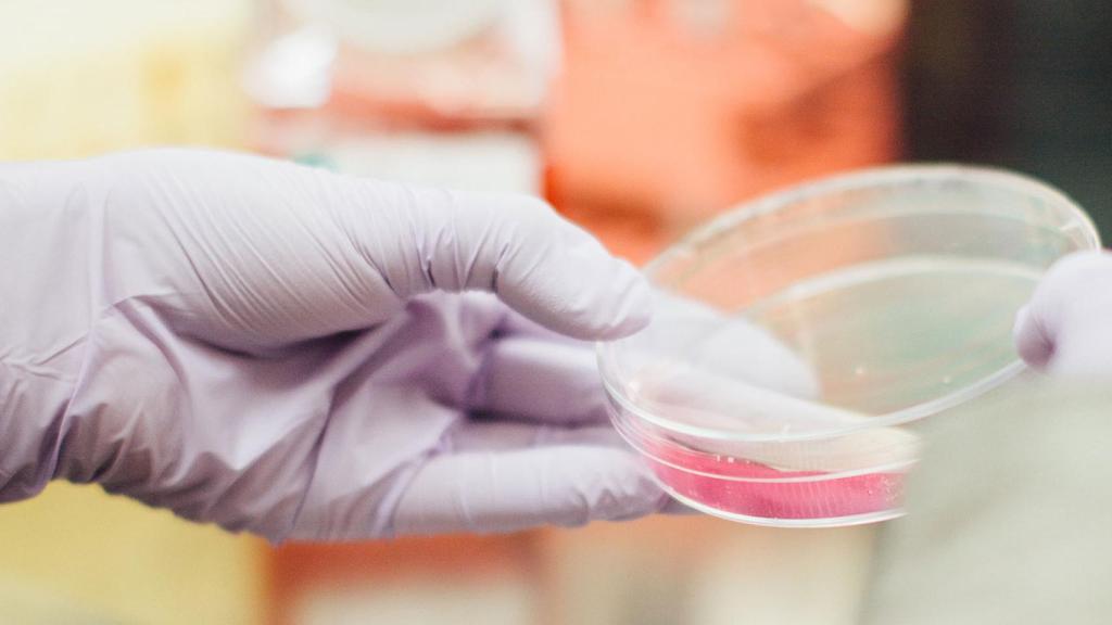 La relavancia social de los algoritmos en diferentes sectores como justicia o salud.