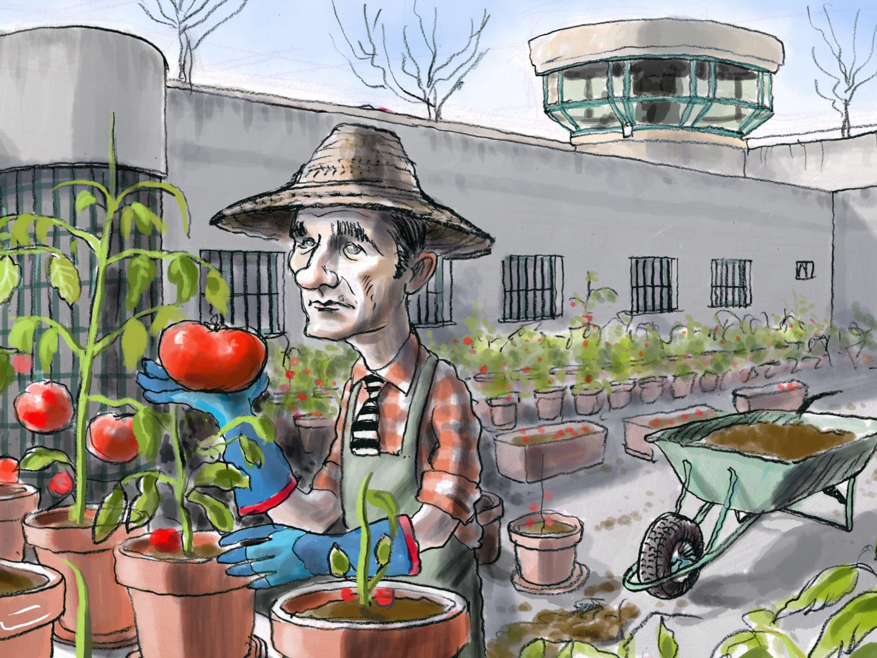 Iñaki Urdangarin: así vive el hortelano de tomates y pimientos de la cárcel de Brieva