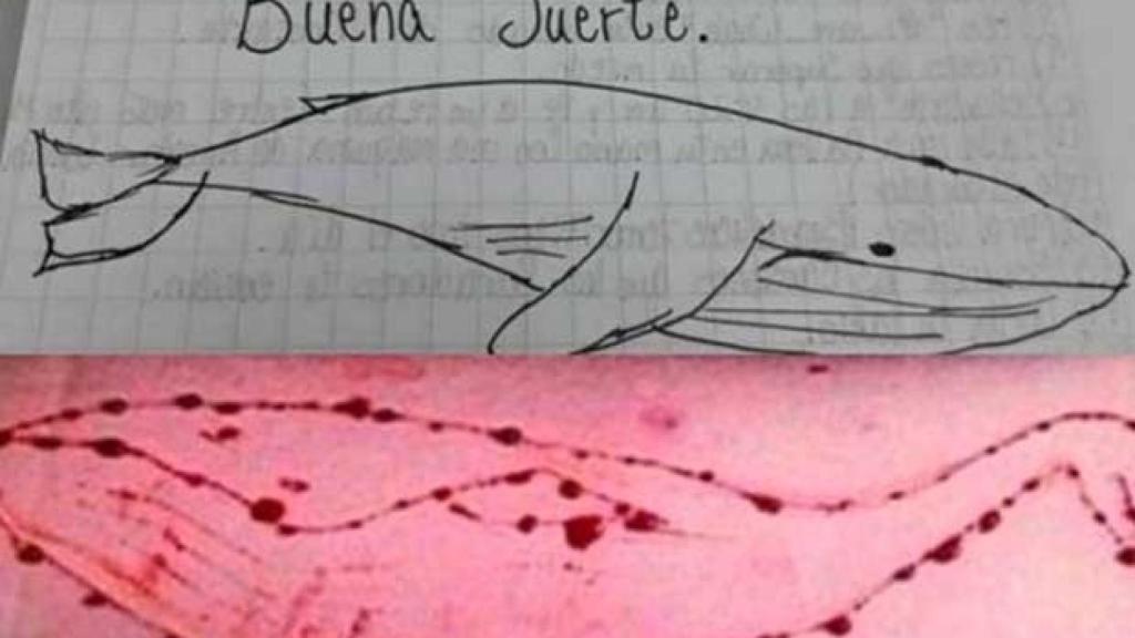 El juego cuenta con 50 pruebas que los menores deben superar hasta quitarse la vida