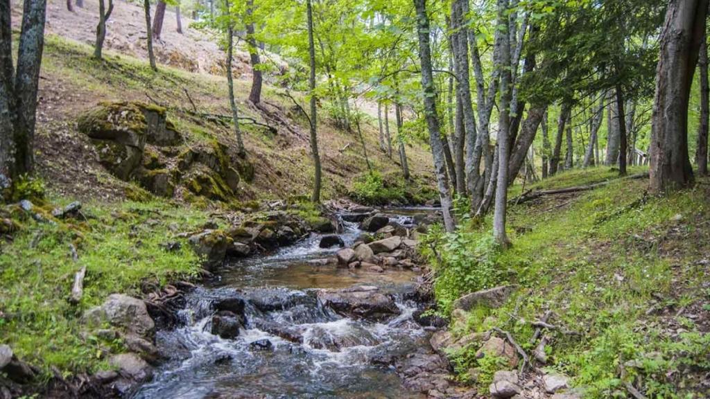Una imagen de la urbanización de Pablo Casado en Ávila.