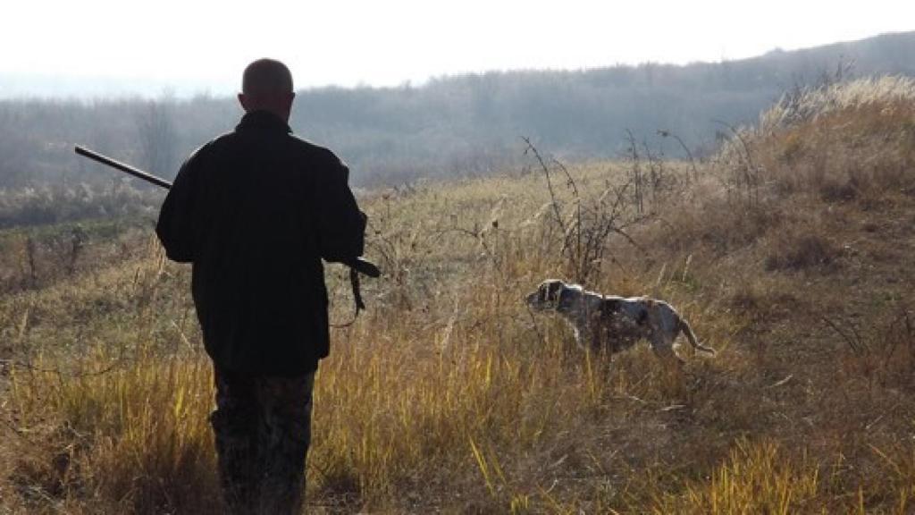 caza menor con perro