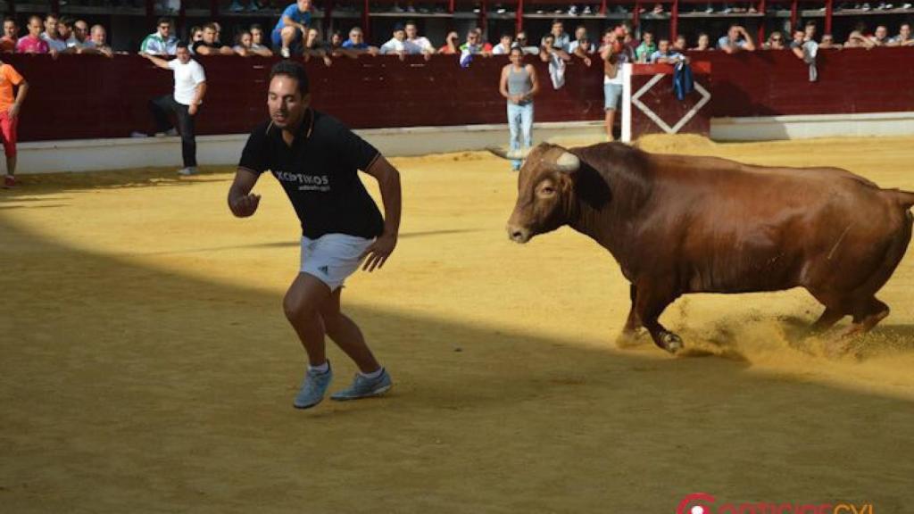 Encierros Medina del Campo 2016 Falcon (13)