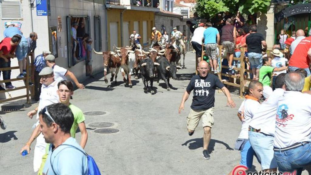 4 encierro 2017 lumbrales (31)