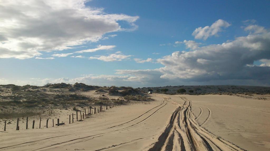 Parque Nacional de Doñana, palacio de las Marismillas y alrededores.