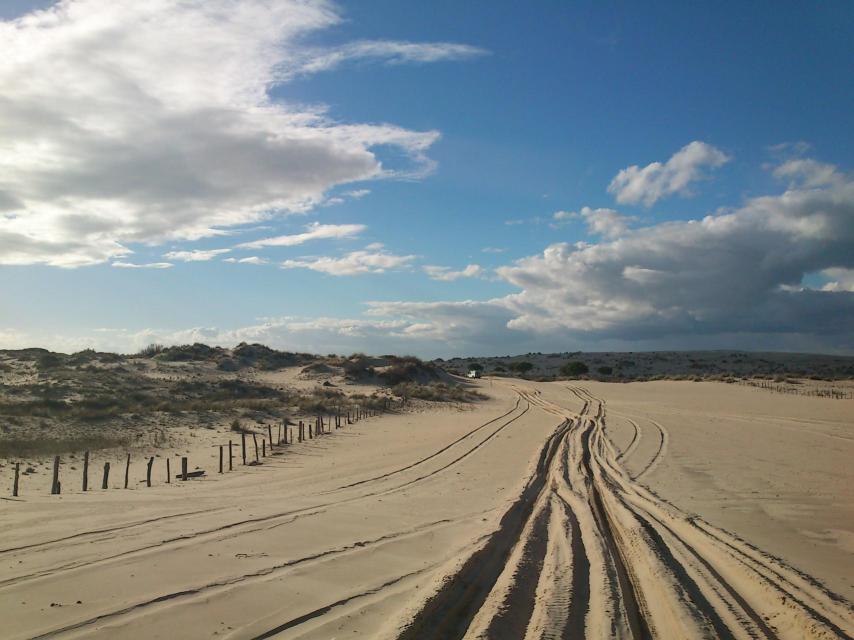 Parque Nacional de Doñana, palacio de las Marismillas y alrededores, en una visita de la reina Sofía en abril de 2014.