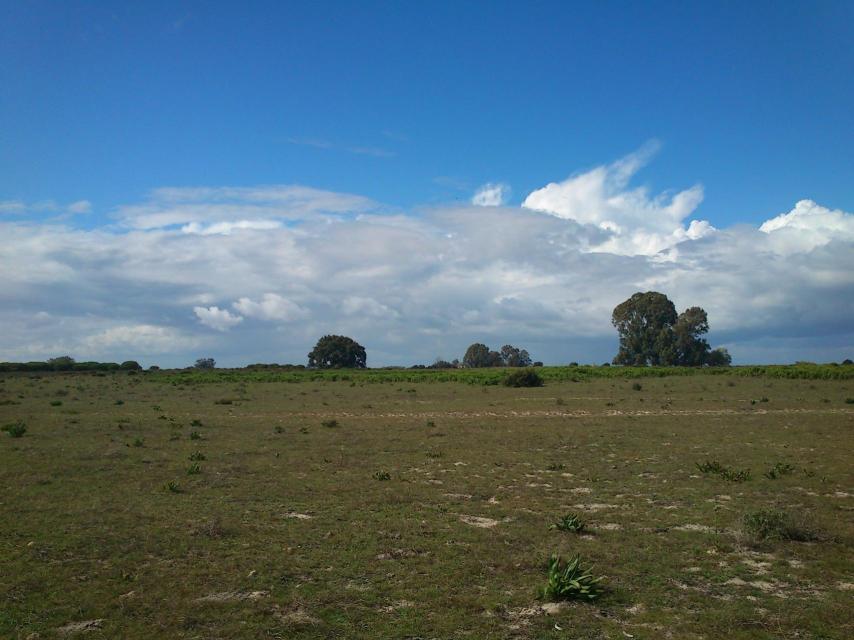 Parque Nacional de Doñana, palacio de las Marismillas y alrededores, en una visita de la reina Sofía en abril de 2014.