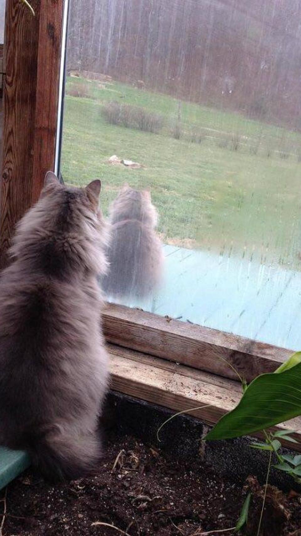 photo_2018-08-10_18-29-23