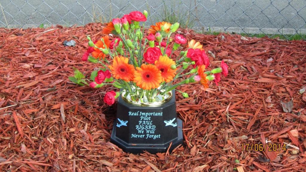 Real Important Pilot (RIP) en la tumba de Ridgard