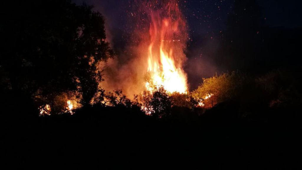 zamora incendio pino del oro (4)