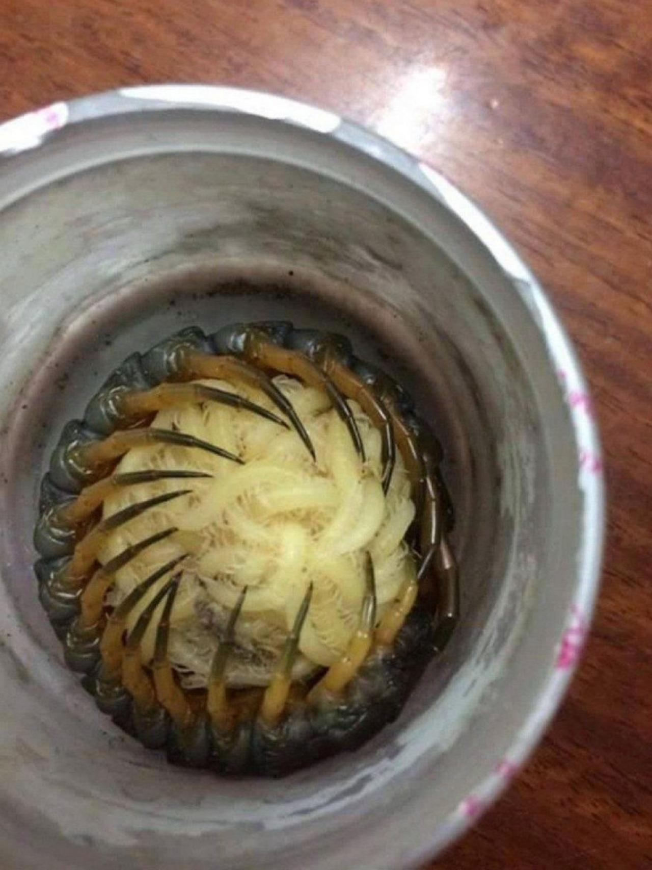 La naturaleza es oscura y llena de horrores