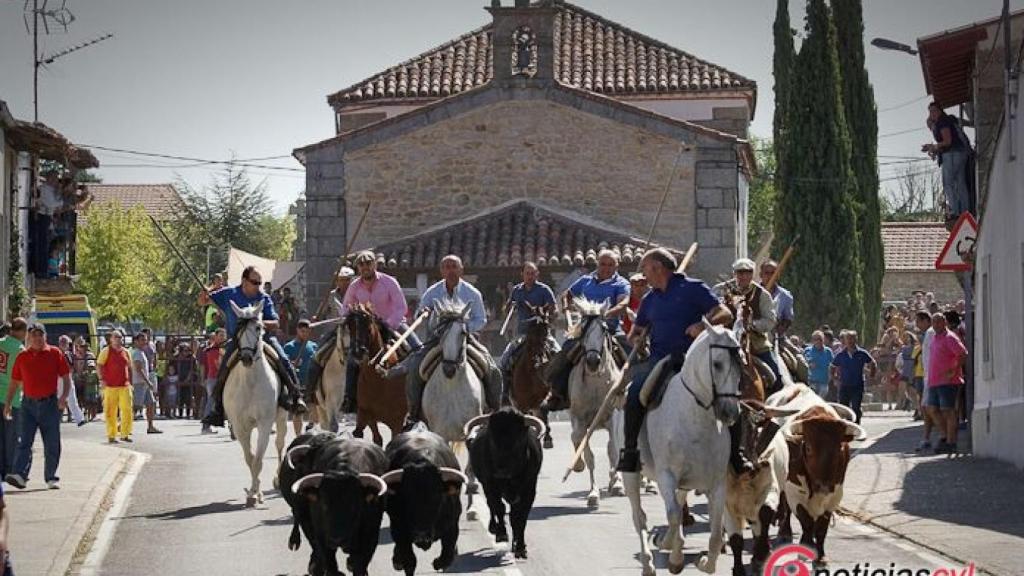encierro caballo villavieja (1)