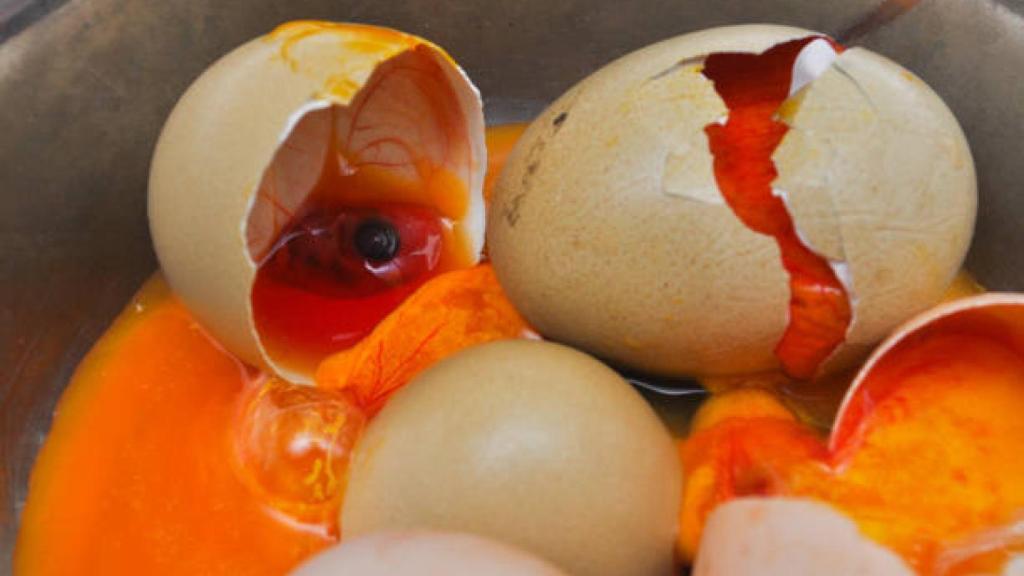 El olor de los huevos podridos es de los más desagradables.