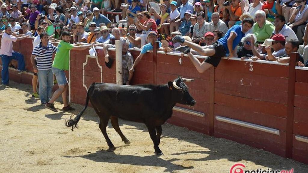 tercer encierro 2017 lumbrales (52)