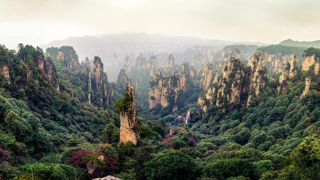 Se cree que Tang se encuentra escondido en los escarpados valles de Zhangjiajie