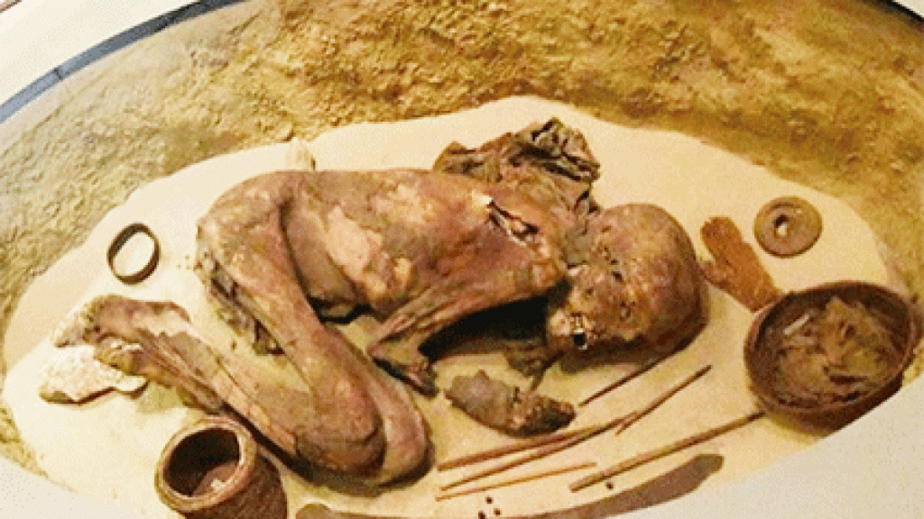 Después del embalsamamiento, los restos fueron envueltos en lino, colocados en una tumba poco profunda y rodeados de objetos funerarios.