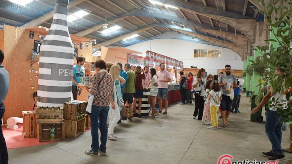 FEMAG 2017 benavente (42)