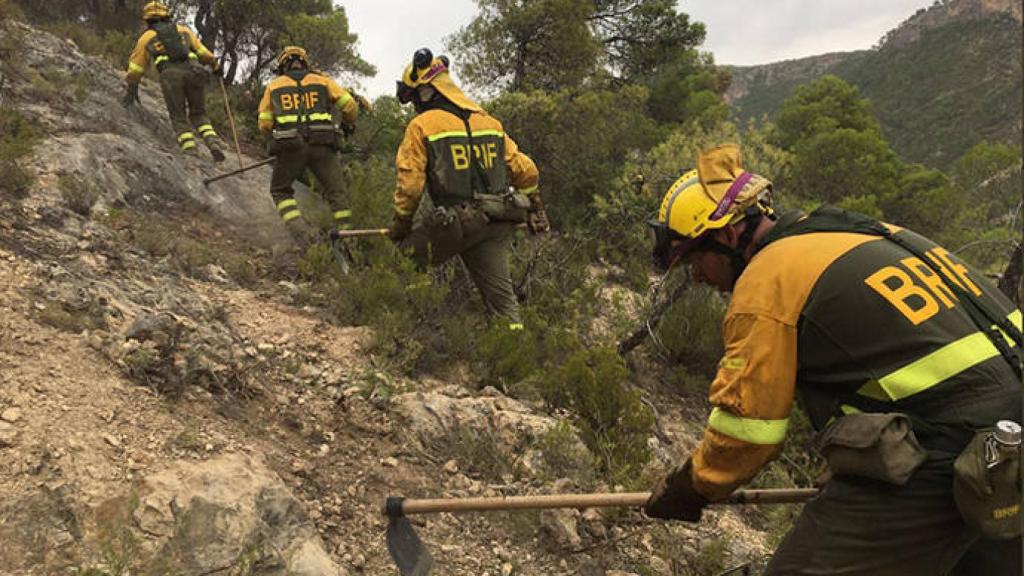 FOTO: BRIF (Archivo)