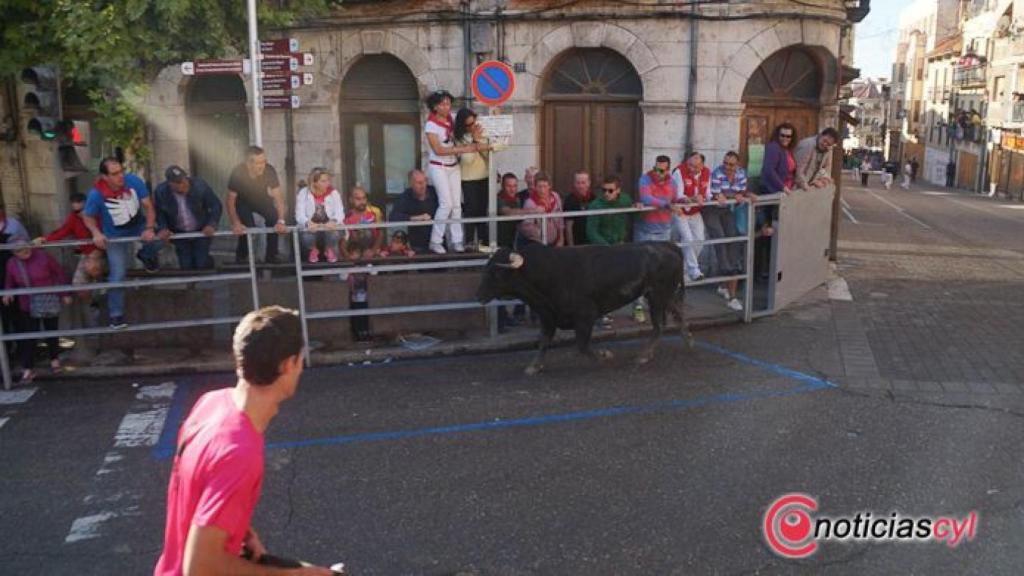 encierros 2017 cuellar (39)