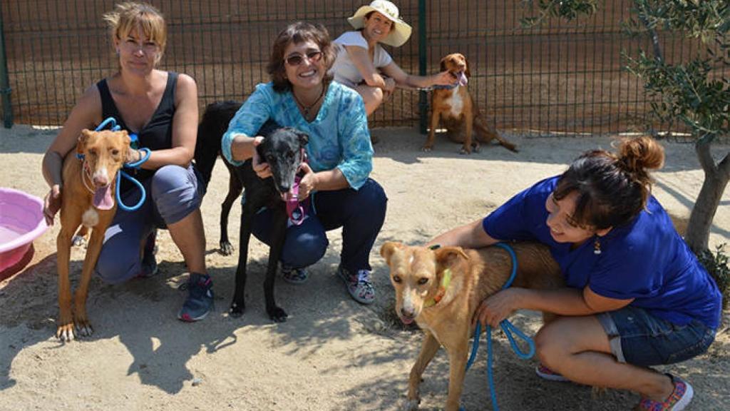 FOTO: Twitter Animal Rescue España