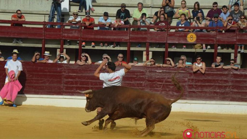 Encierros Medina del Campo 2016 Falcon (11)