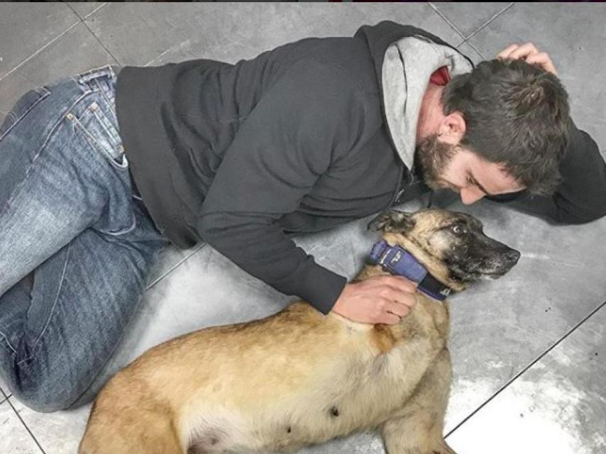 En 'El Hormiguero' le busca familia a perros abandonados.