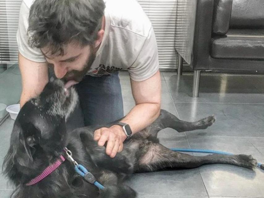 Él tiene dos perros. Uno lo adoptó.