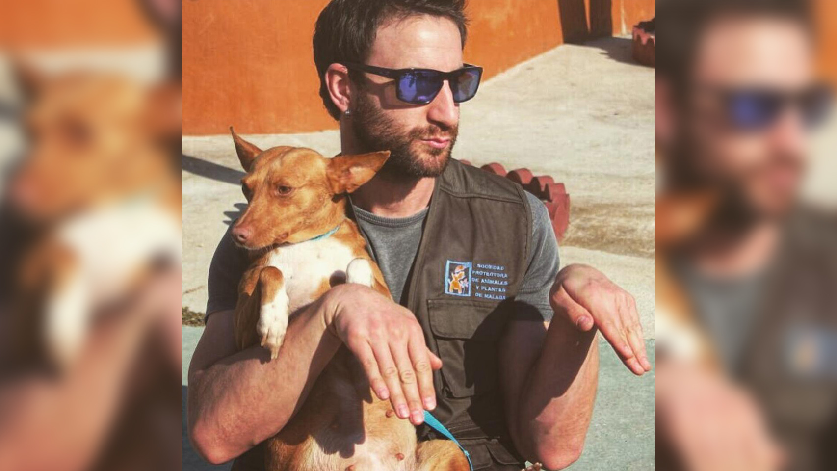 Dani Rovira colabora con protectoras de animales, sobre todo con la de su Málaga natal.