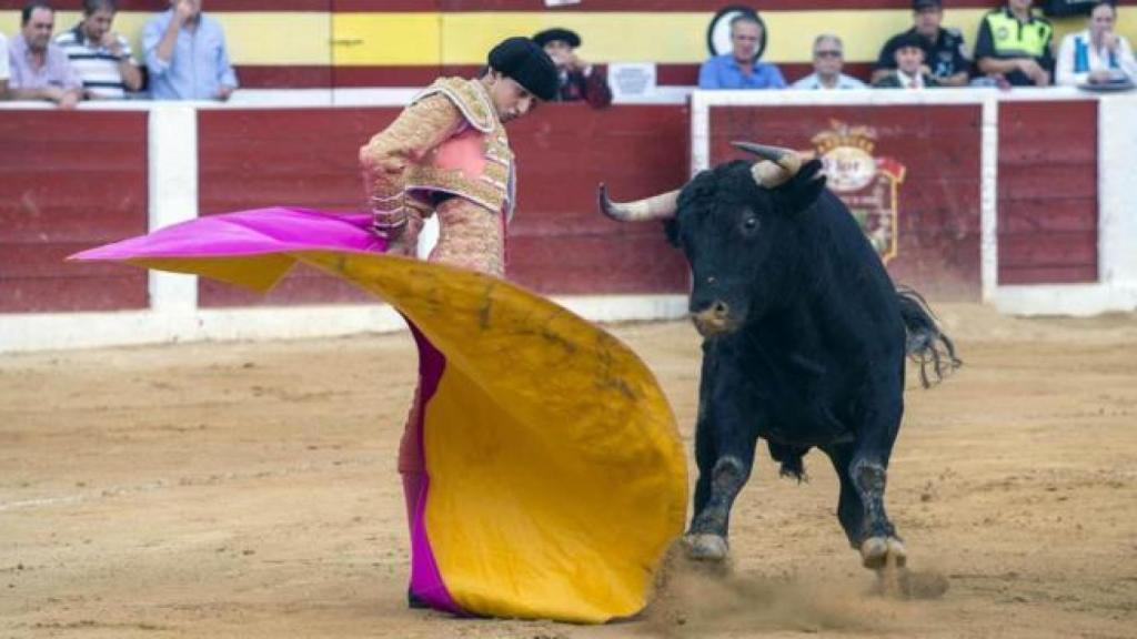 Revolera de Roca Rey en Villaseca, donde fue declarado triunfador en 2015