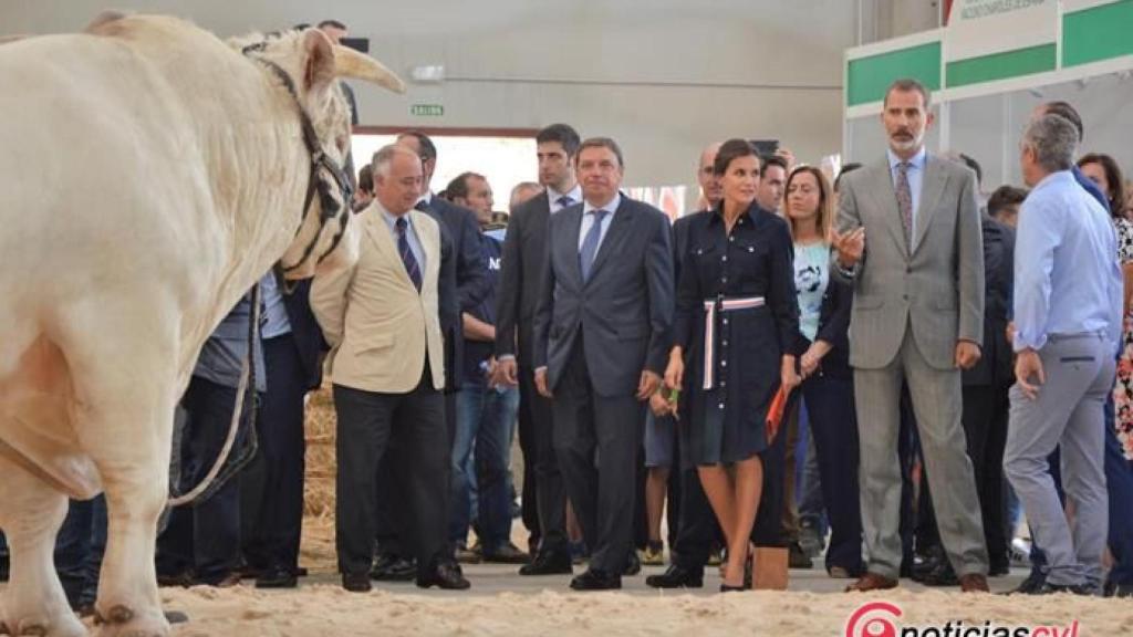 Castilla y León