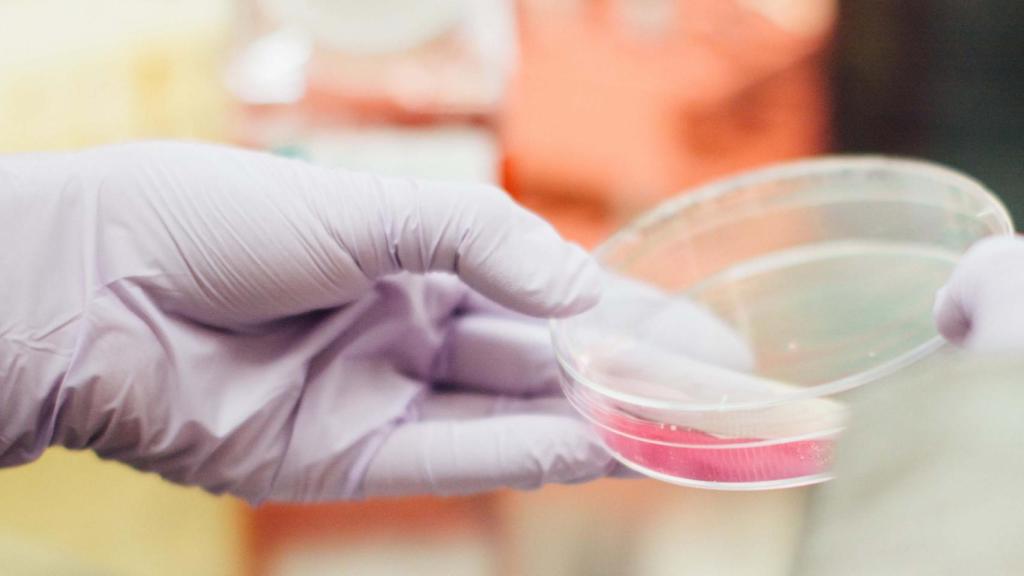 Este nanofármaco español sólo actúa en las células tumorales (no daña las sanas)